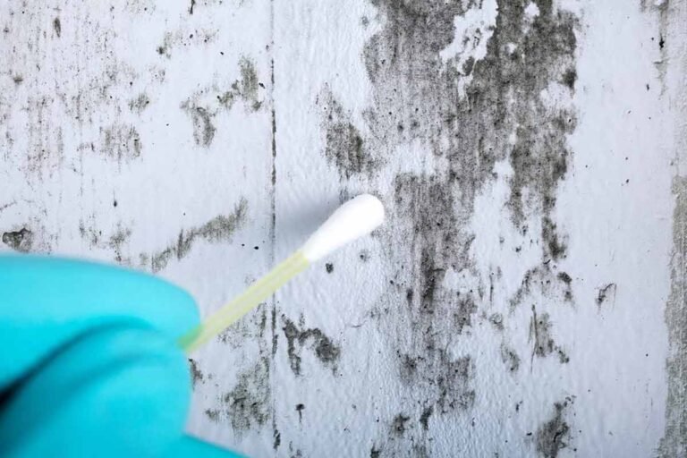 Selective Home Inspections 06