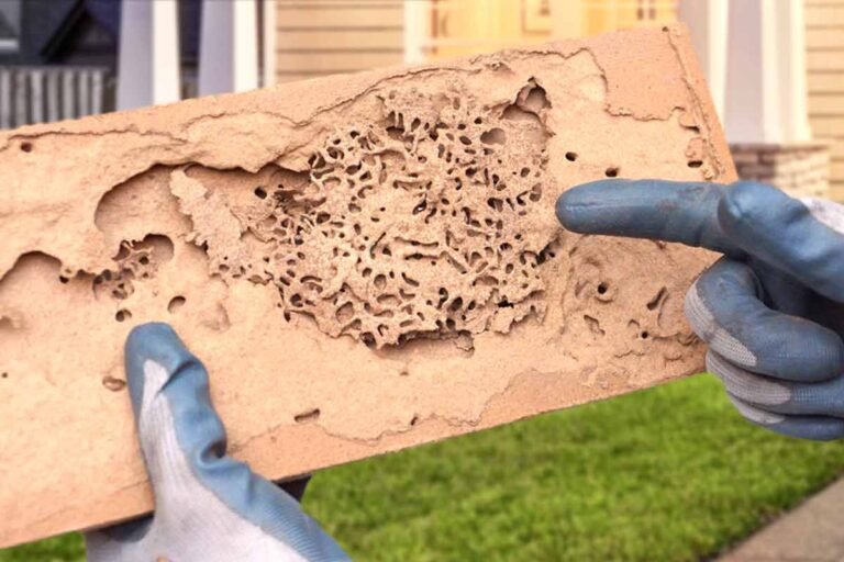 Selective Home Inspections 14