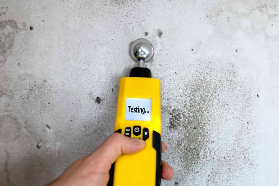 Mold Assessment (Surface) 1