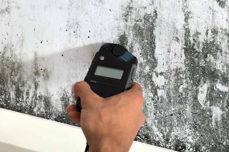Mold Assessment (Surface) 4