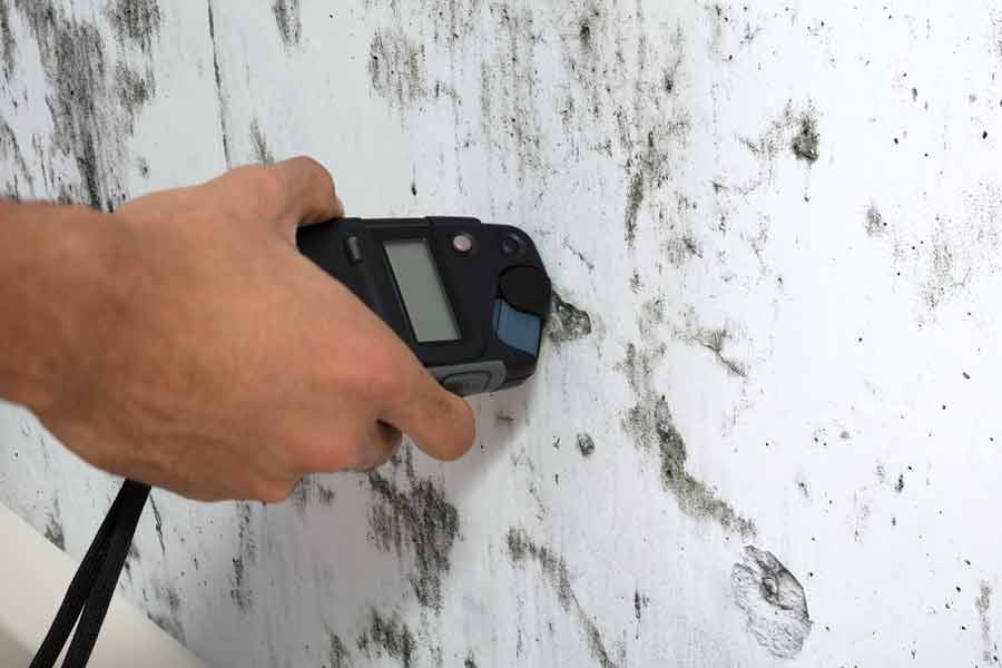 Mold Assessment (Surface) 5