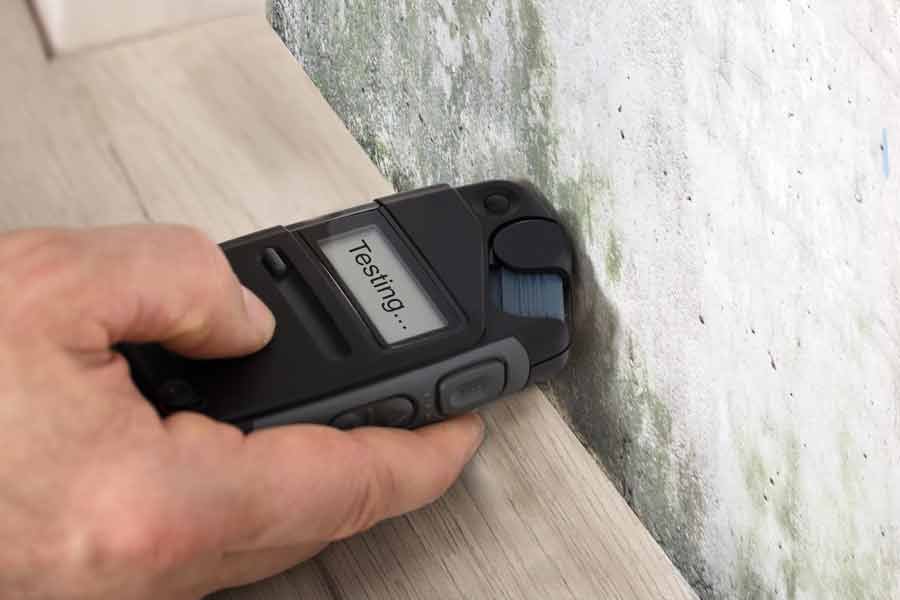 Mold Assessment (Surface) 6