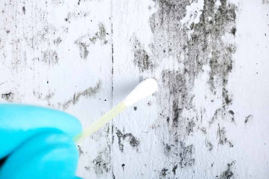 Selective Home Inspections, Mold Assessment - Surface