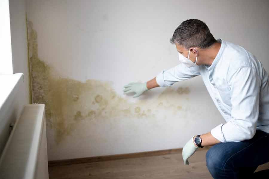 Selective Home Inspections, Mold