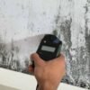Mold Assessment (Surface) (2 samples)